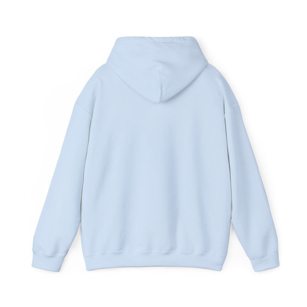 Urban Unisex Hoodie – ZETT STUDIO
