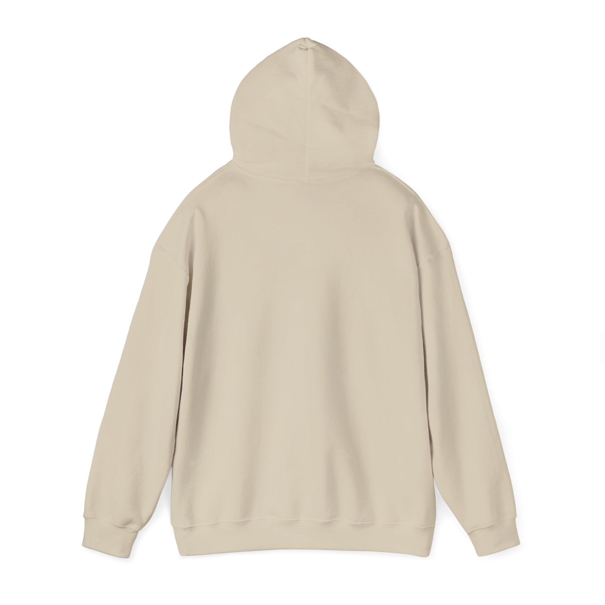 Urban Unisex Hoodie – ZETT STUDIO