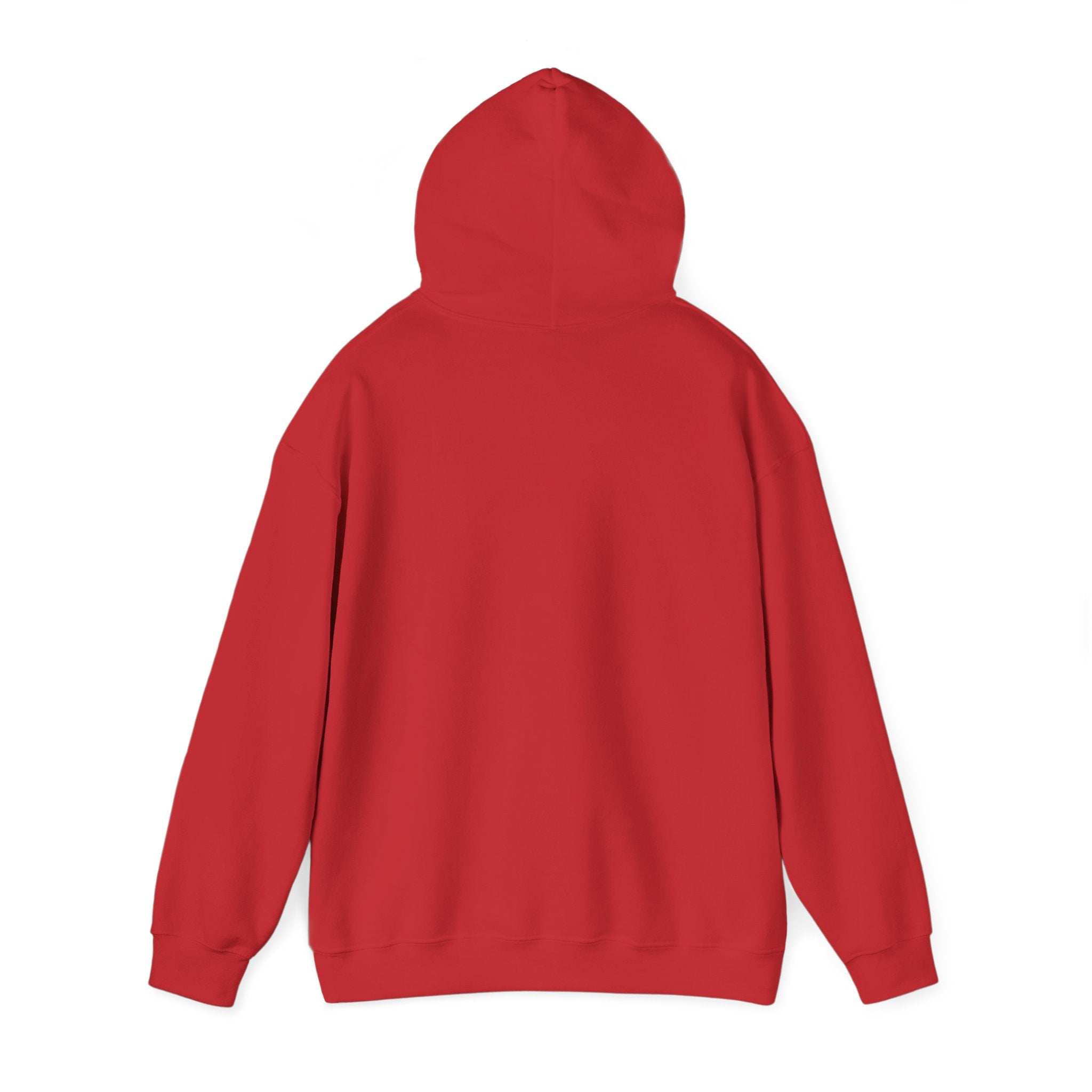 Minimalist Unisex Hoodie— Cozy Spiritual Pullover