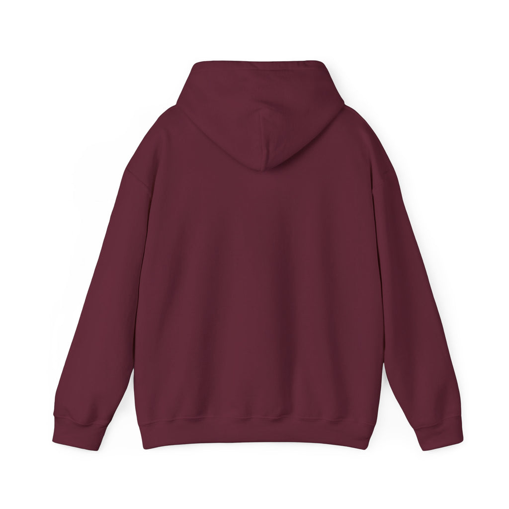 Urban Unisex Hoodie – ZETT STUDIO