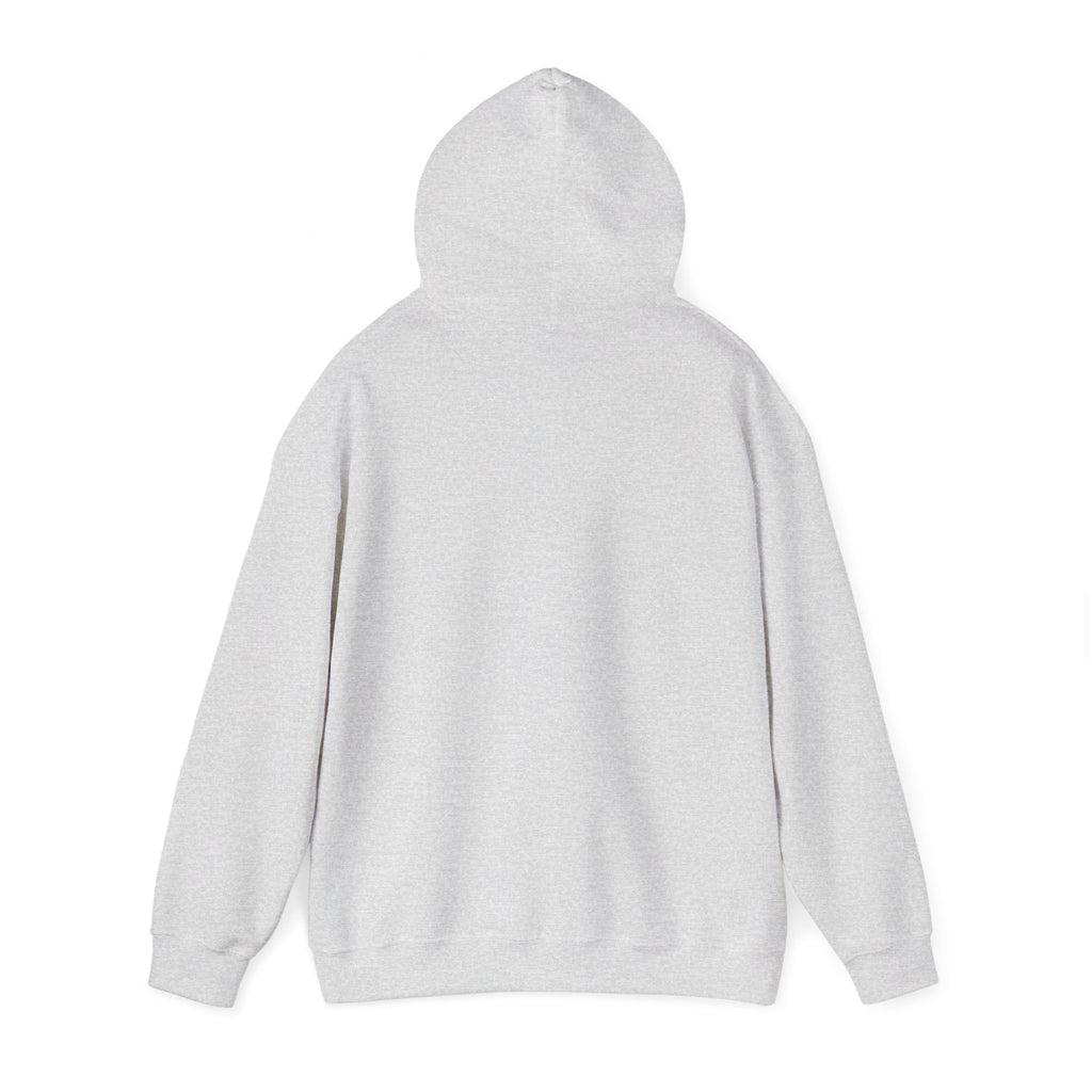 Urban Unisex Hoodie – ZETT STUDIO