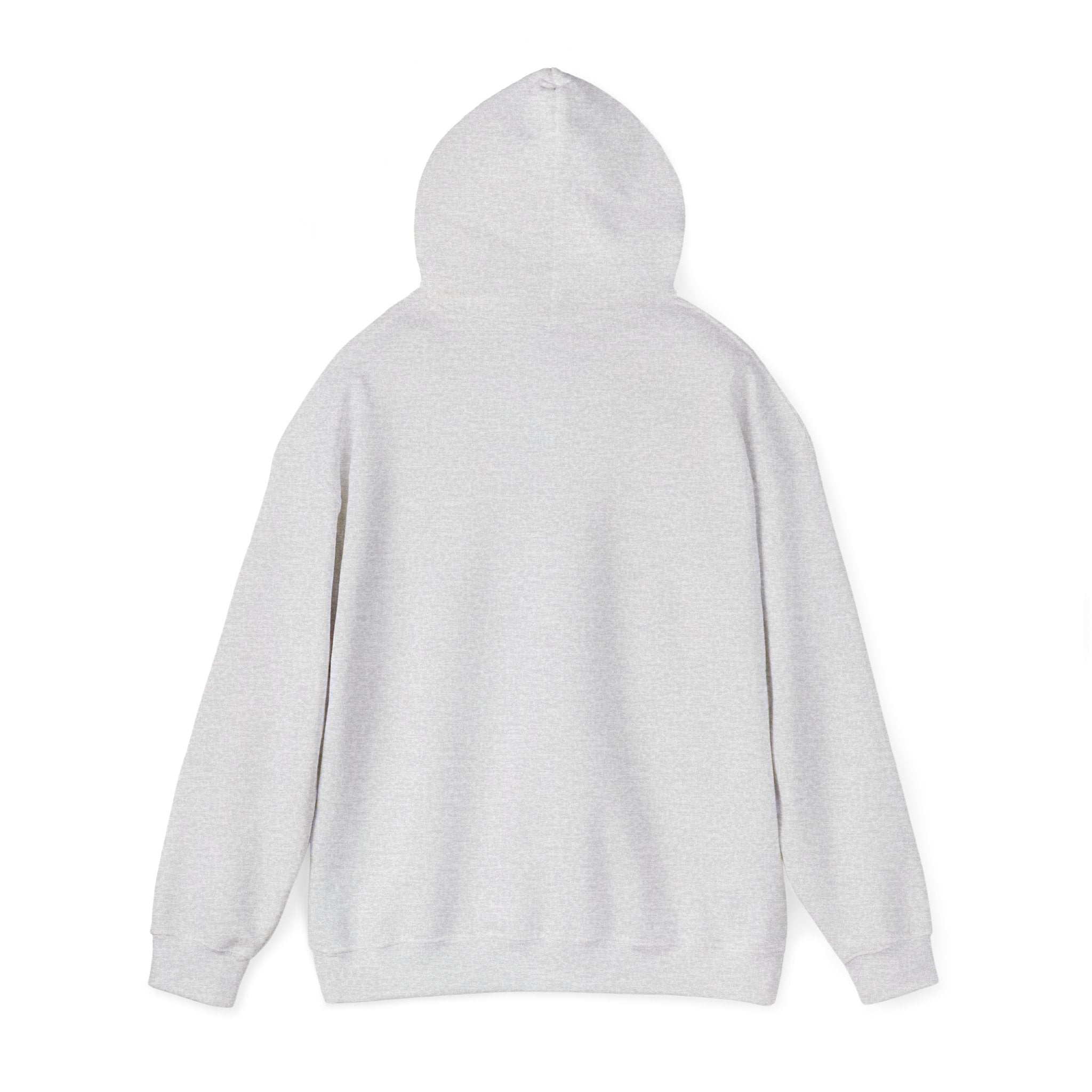 Urban Unisex Hoodie – ZETT STUDIO