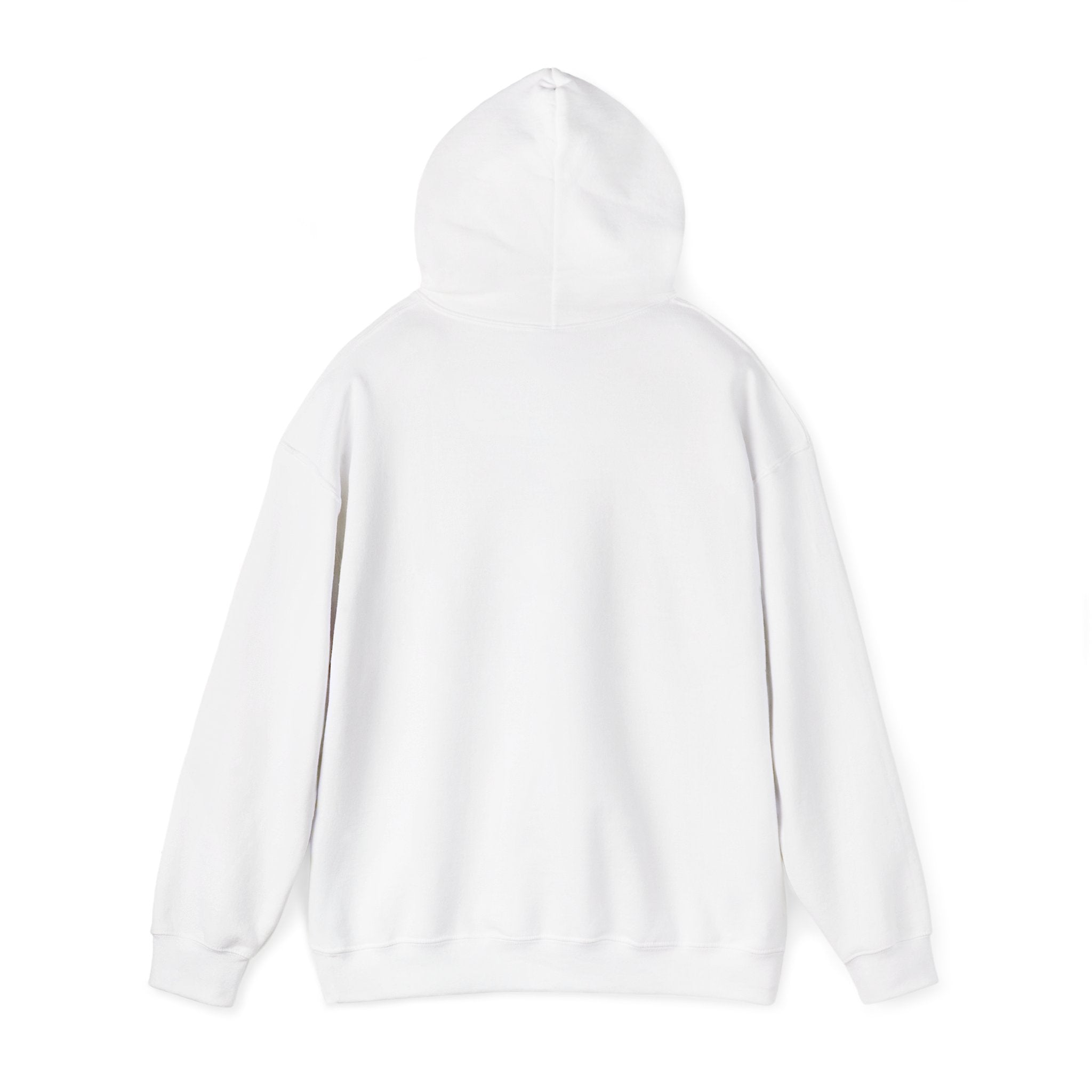 Urban Unisex Hoodie – ZETT STUDIO