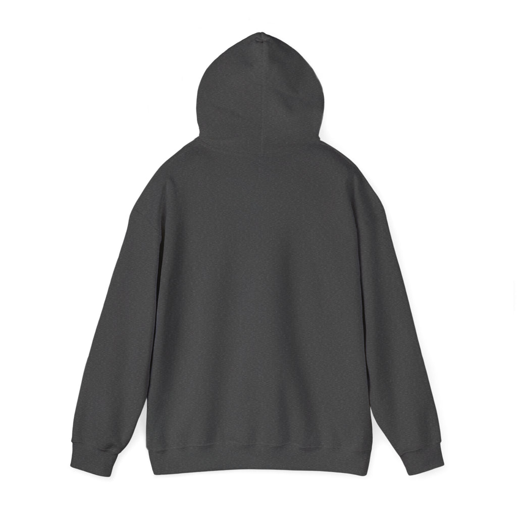 Urban Unisex Hoodie – ZETT STUDIO