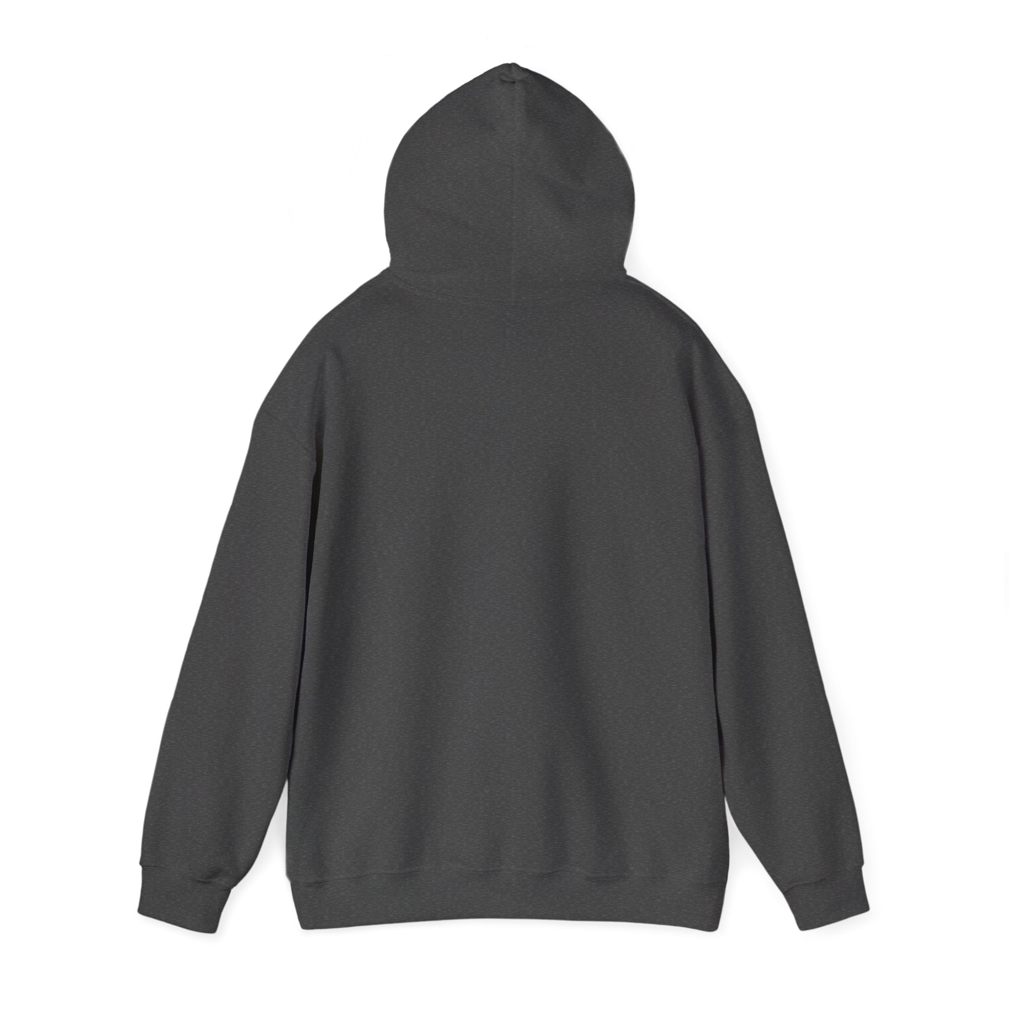 Urban Unisex Hoodie – ZETT STUDIO