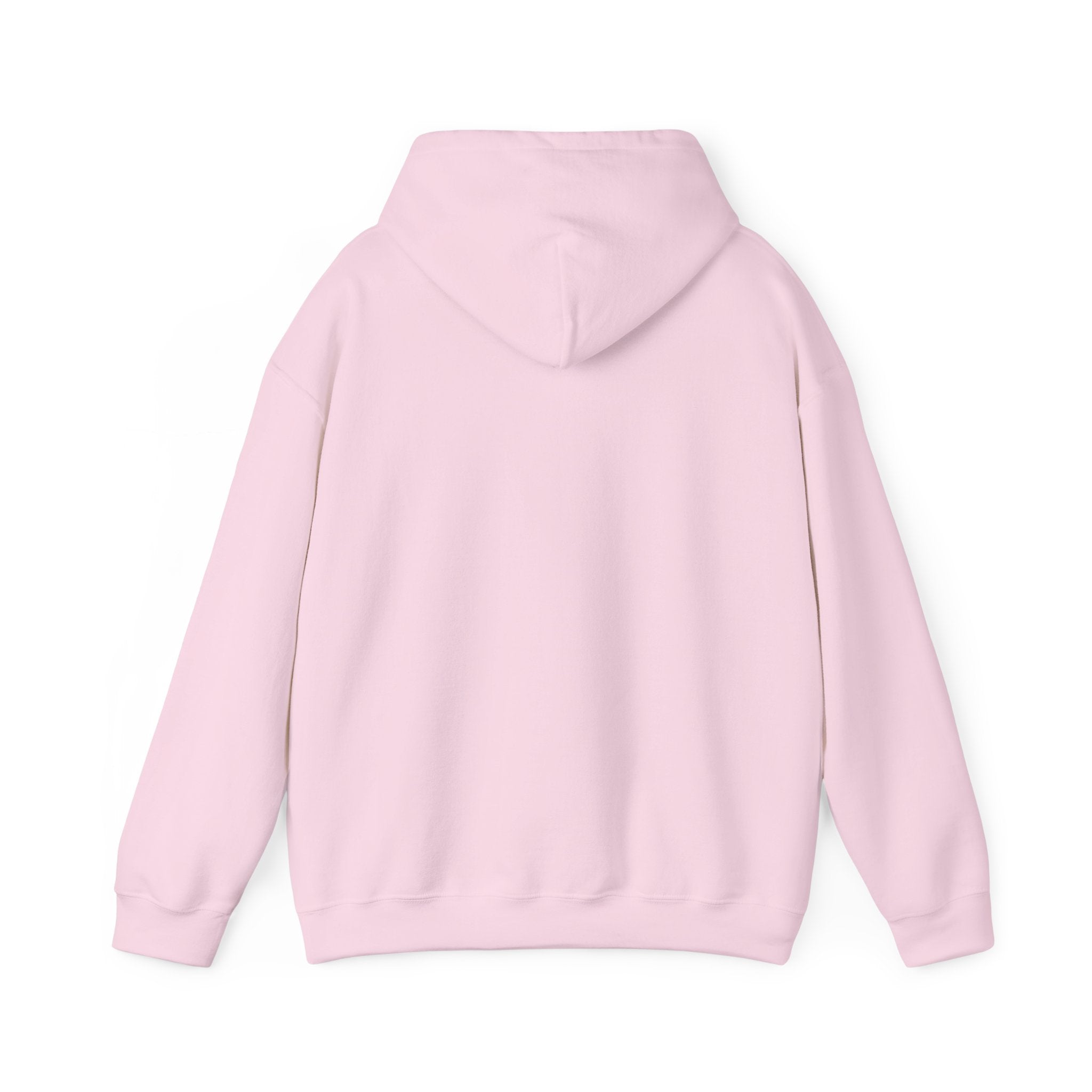 Urban Unisex Hoodie – ZETT STUDIO