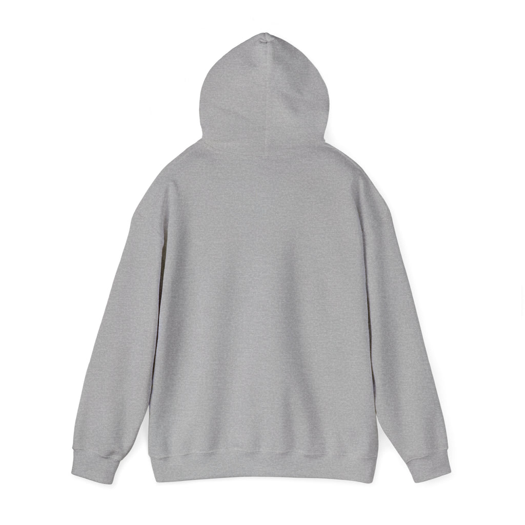 Urban Unisex Hoodie – ZETT STUDIO