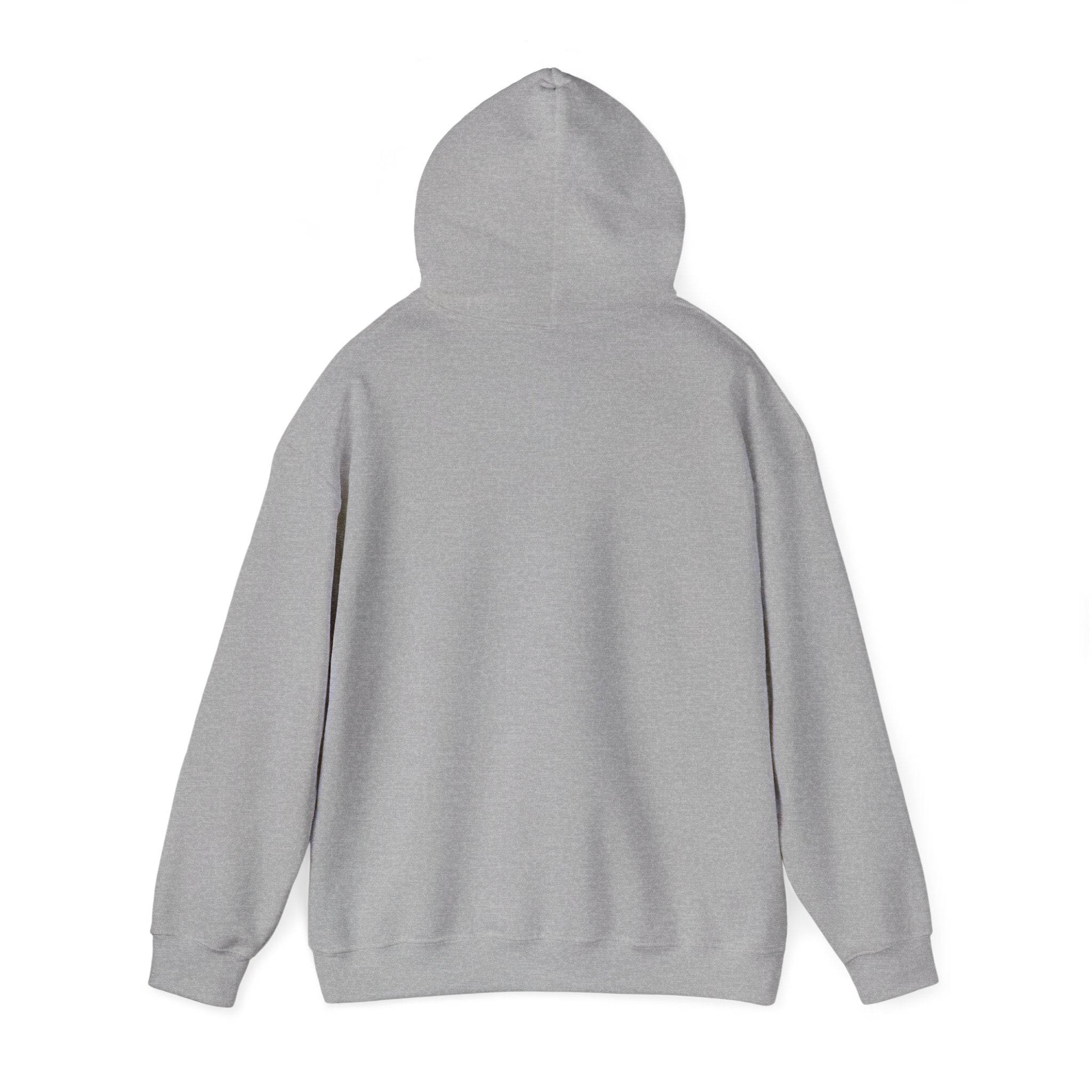 Urban Unisex Hoodie – ZETT STUDIO