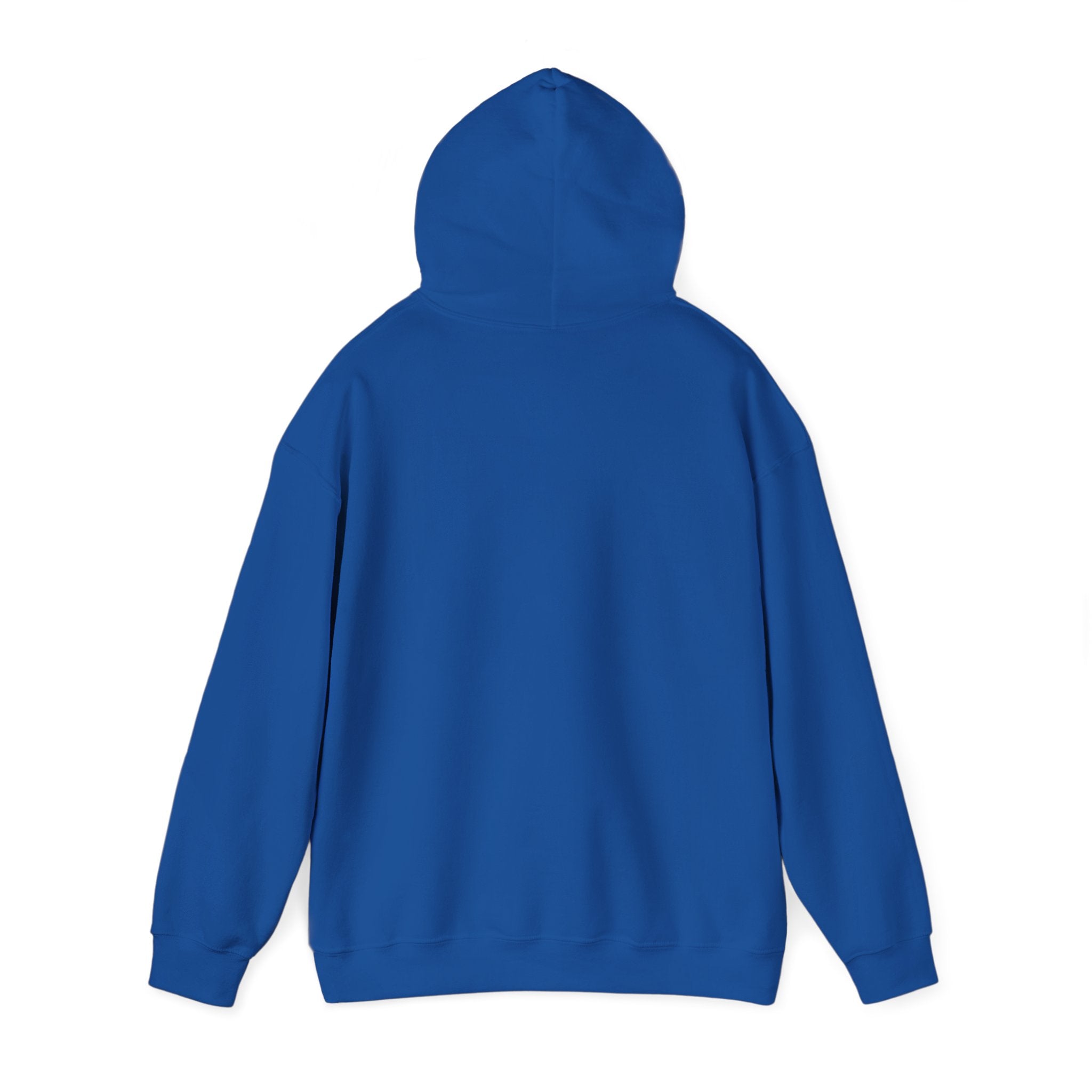 Urban Unisex Hoodie – ZETT STUDIO