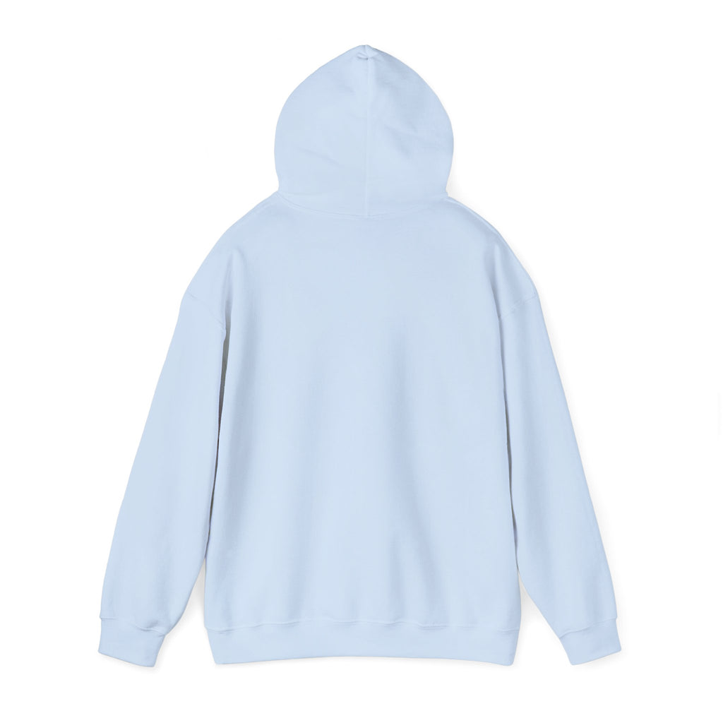 Urban Unisex Hoodie – ZETT STUDIO
