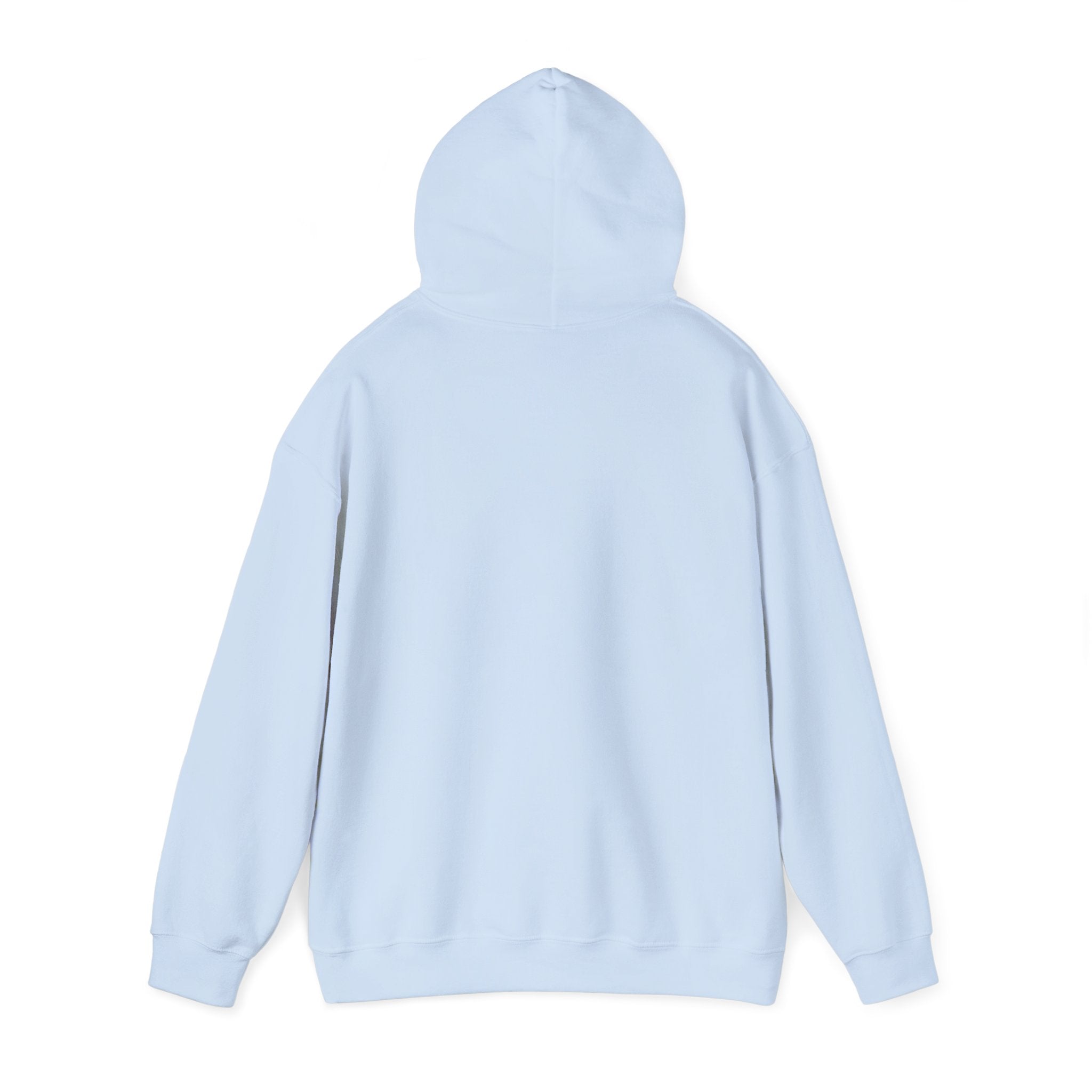Urban Unisex Hoodie – ZETT STUDIO