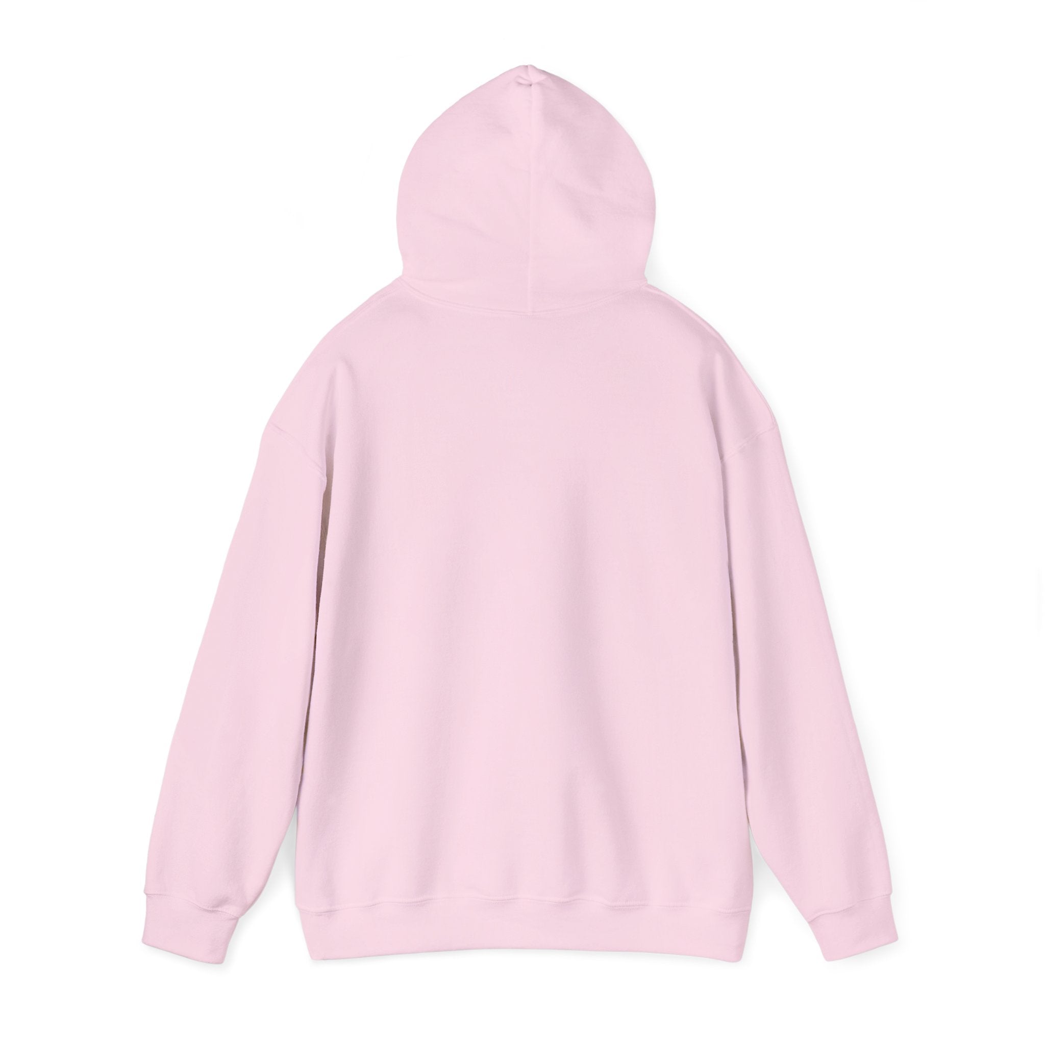 Urban Unisex Hoodie – ZETT STUDIO
