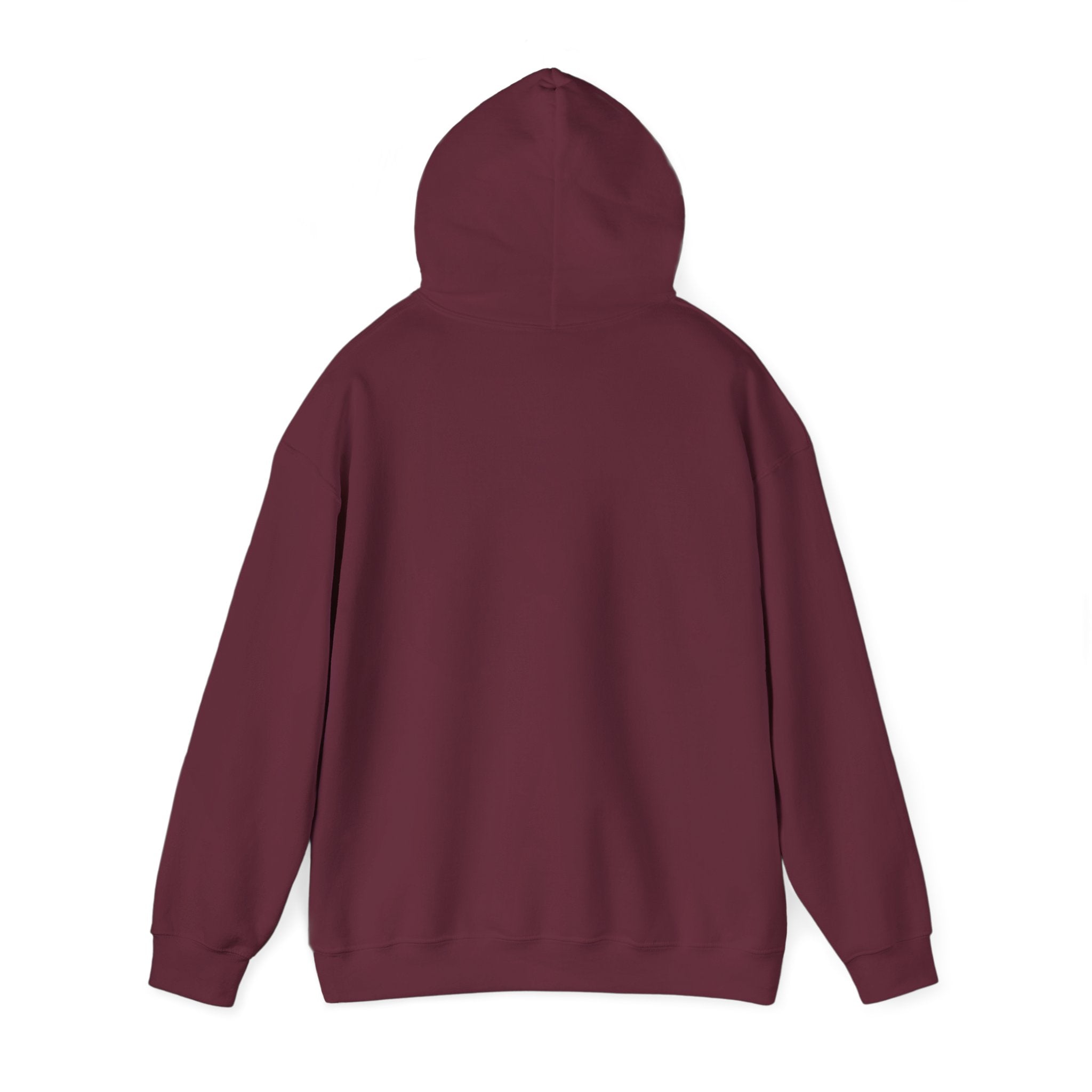 Minimalist Unisex Hoodie— Cozy Spiritual Pullover