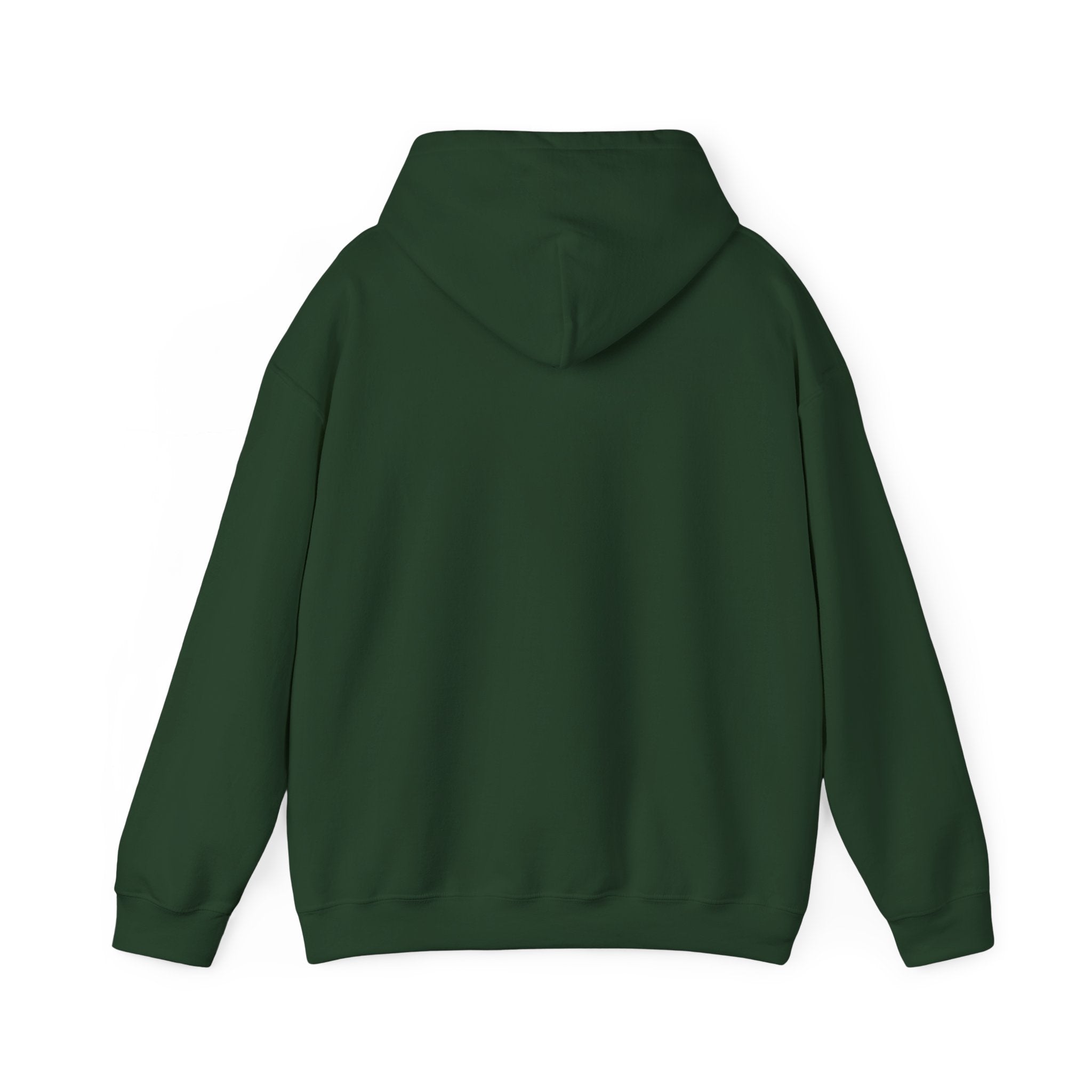 Minimalist Unisex Hoodie— Cozy Spiritual Pullover
