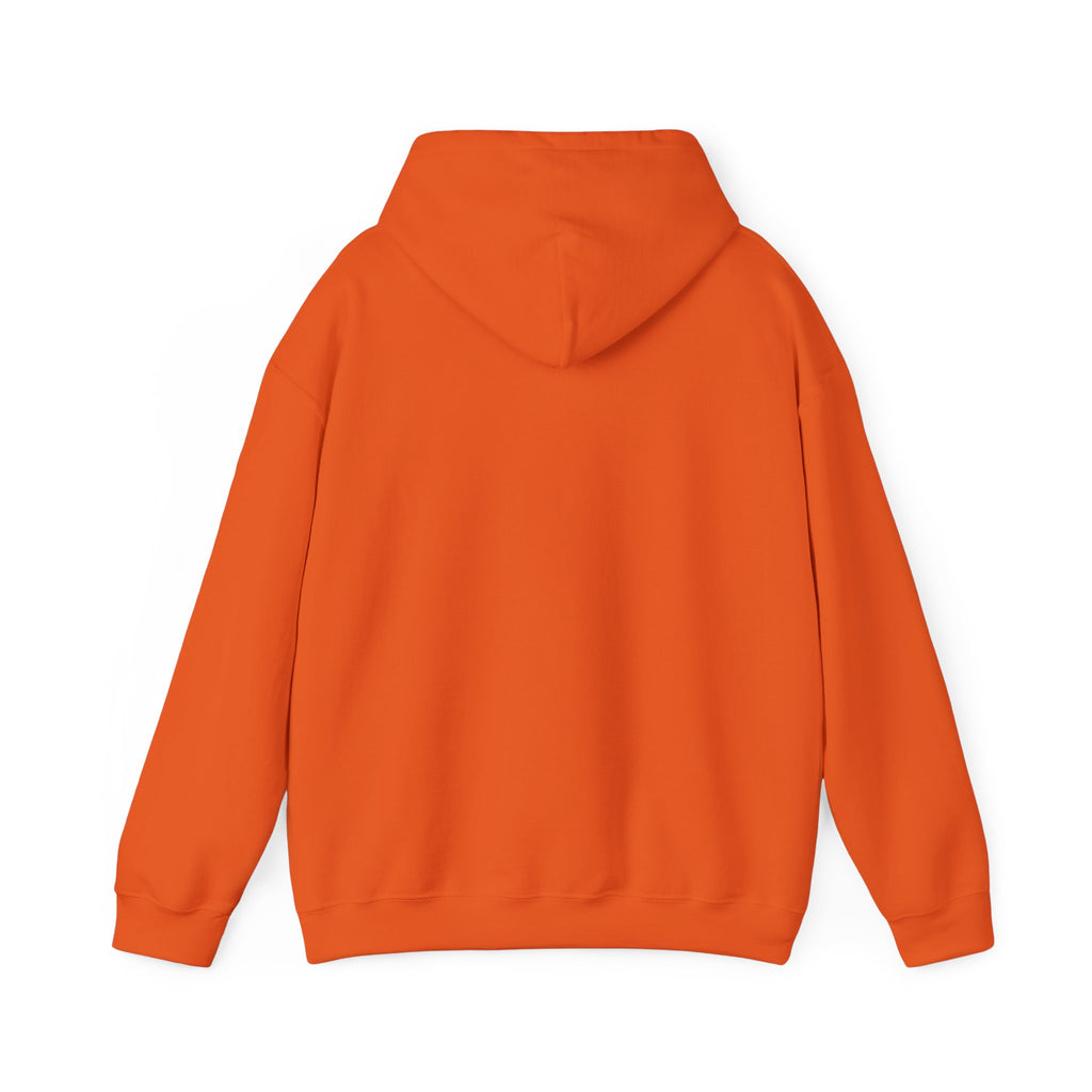 Minimalist Unisex Hoodie— Cozy Spiritual Pullover