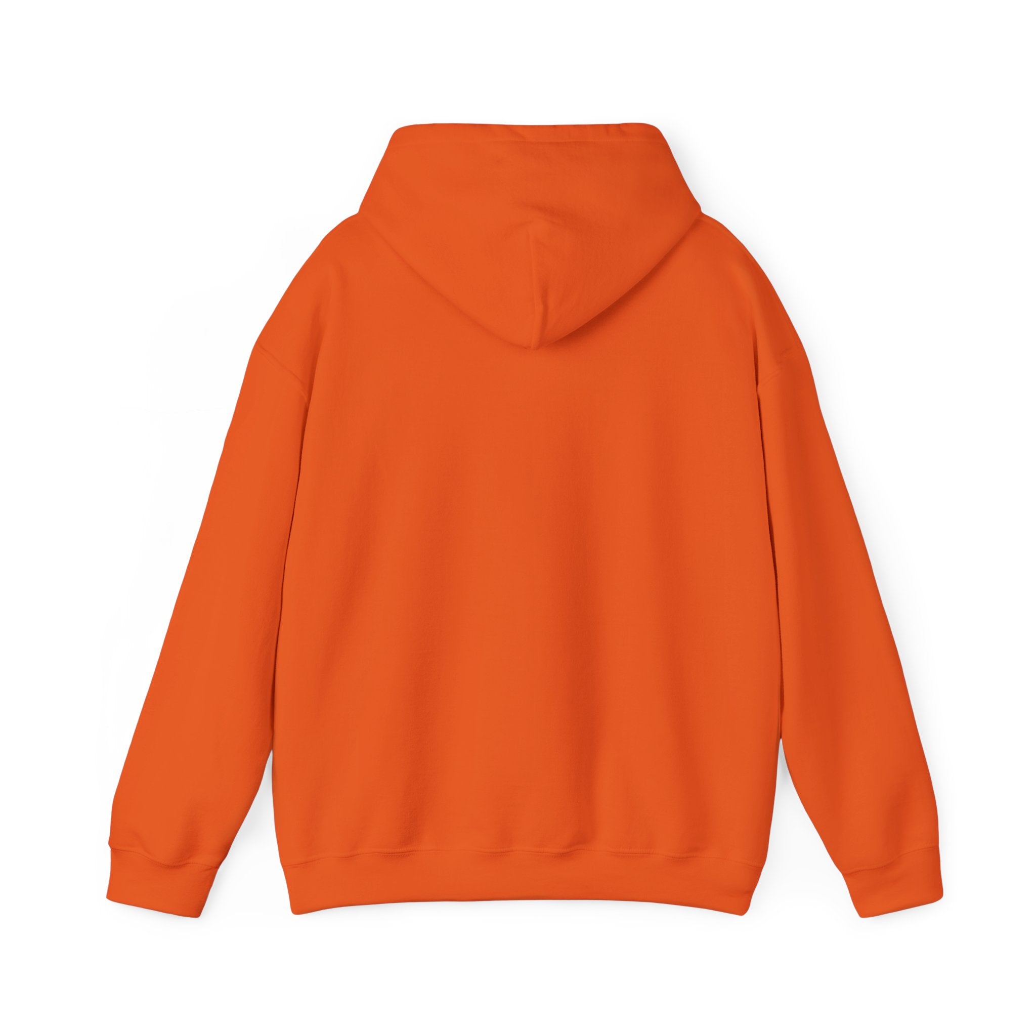 Minimalist Unisex Hoodie— Cozy Spiritual Pullover