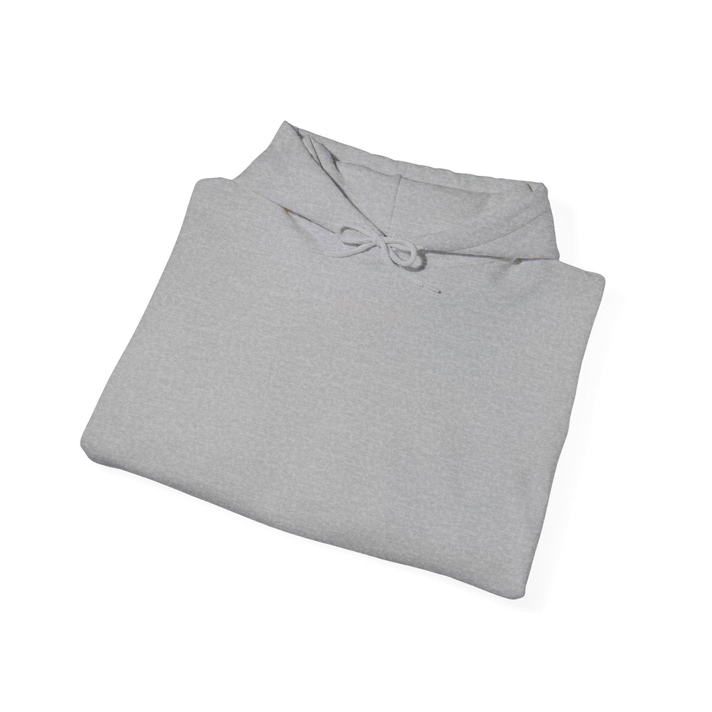 Urban Unisex Hoodie – ZETT STUDIO